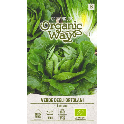 Salatfrø LETTUCE VERDE ORTOLANI