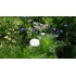 Blomsterblanding BUTTERFLY