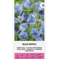 Blomsterert BLUE RIPPLE