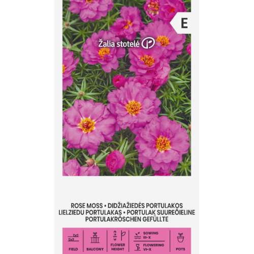 Prydportulakk Portulaca Grandiflora