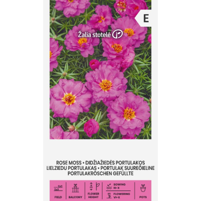 Prydportulakk Portulaca Grandiflora