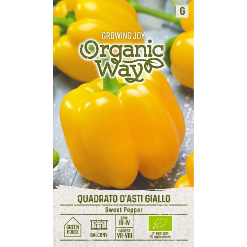 Paprika SWEET QUADRATO D'ASTI GIALLO
