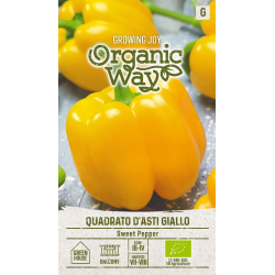 Paprika SWEET QUADRATO D'ASTI GIALLO
