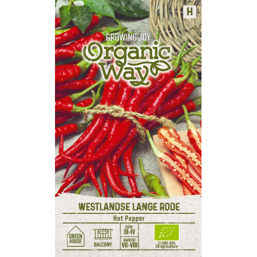 Chili HOT WESTLANDSE RODE