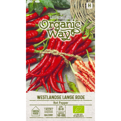 Chili HOT WESTLANDSE RODE