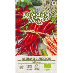 Chili HOT WESTLANDSE RODE