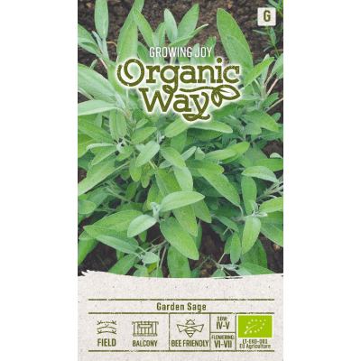 Kryddersalvie ORGANIC
