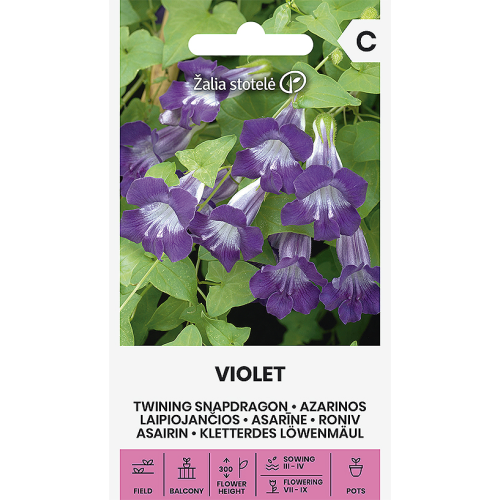 Klatreløvemunn SNAPDRAGON VIOLET