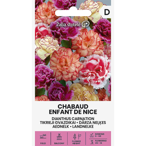 Busknellik CHABAUD ENFANT DE NICE