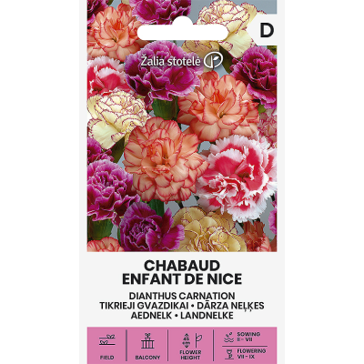 Busknellik CHABAUD ENFANT DE NICE