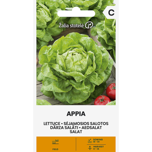 Isbergsalat APPIA