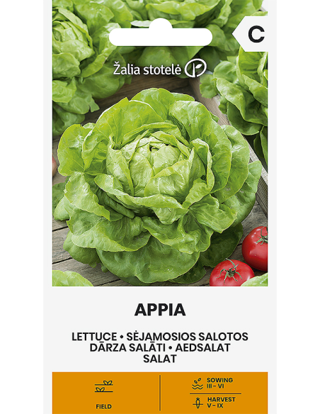 Isbergsalat APPIA