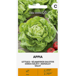 Isbergsalat APPIA
