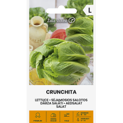 Salatfrø CRUNCHITA