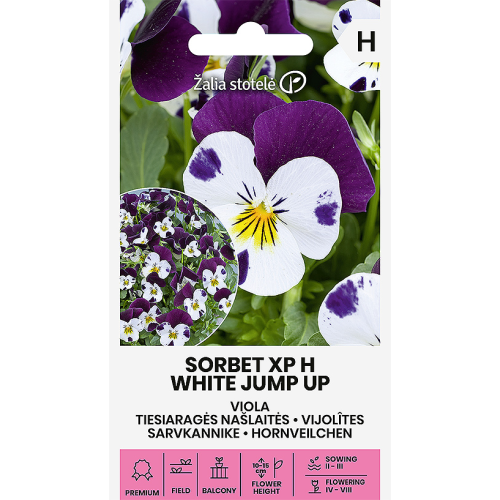 Stemorsblomster XP H WHITE JUMP UP