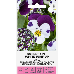 Stemorsblomster XP H WHITE JUMP UP