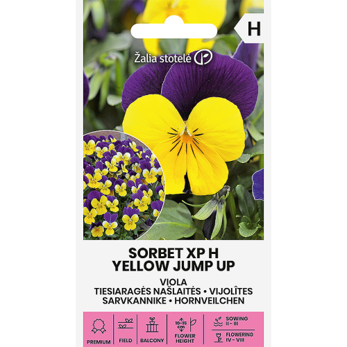 Stemorsblomster SORBET XP H YELLOW JUMP UP