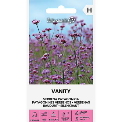 Kjempeverbena PATAGONICA VANITY