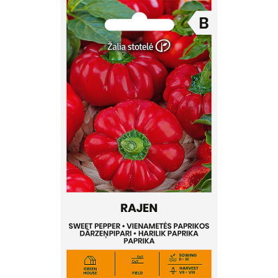 Paprika SWEET RAJEN