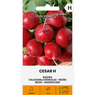 Reddik CESAR H