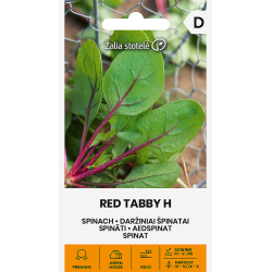 Spinat RED TABBY H