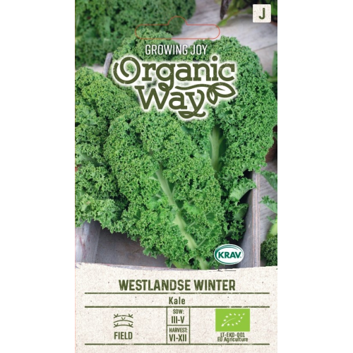Grønnkål WESTLANDSE WINTER