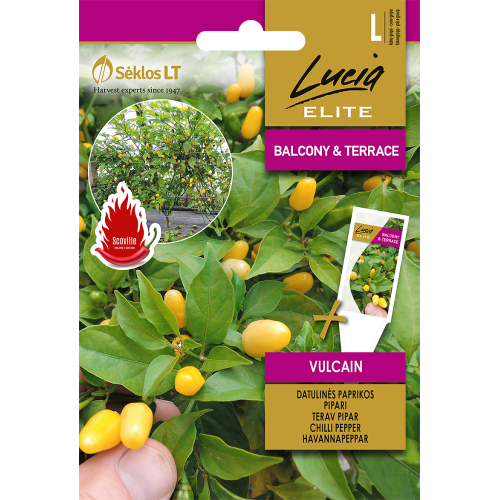 Chili PEPPER VULCAIN