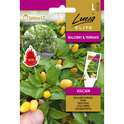 Chili PEPPER VULCAIN