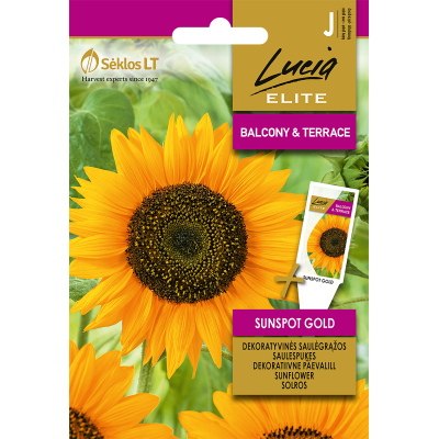 Solsikke SUNSPOT GOLD