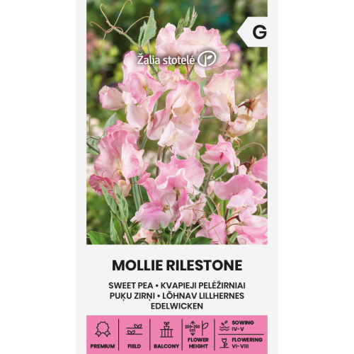 Blomsterert MOLLIE RILESTONE