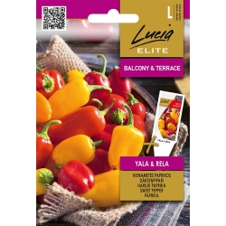 Paprika SWEET YALA RELA