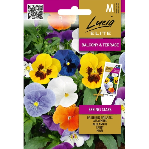 Stemorsblomster SPRING STARS