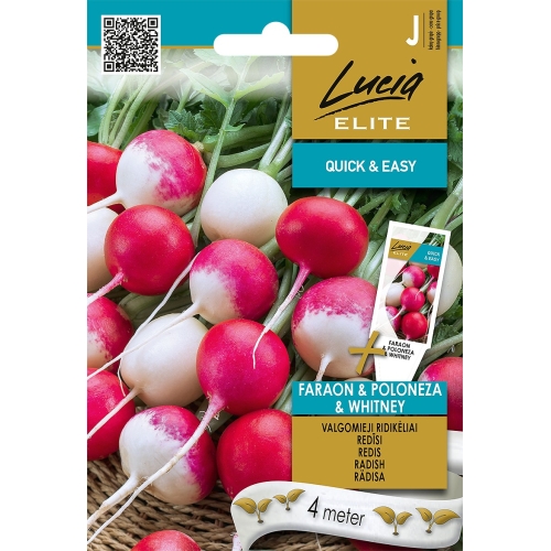 Reddik FARAON*POLONEZA*WHITNEY (SEEDTAPE)