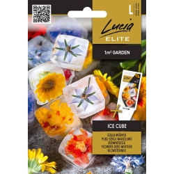 Blomsterblanding EATABLE ICE CUBE