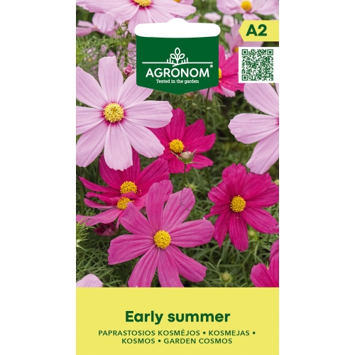 Pyntekorg EARLY SUMMER