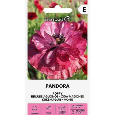 Kornvalmue Pandora