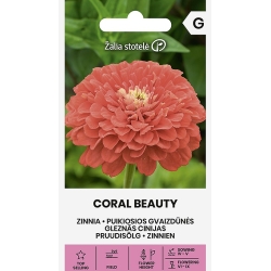 Sinnia CORAL BEAUTY