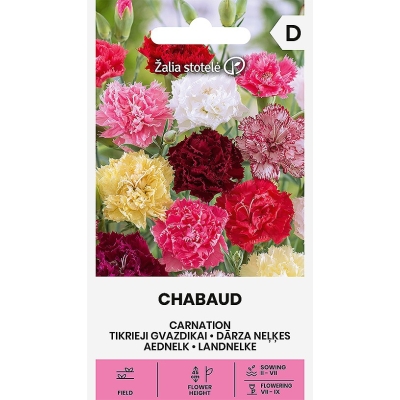 Busknellik CHABAUD