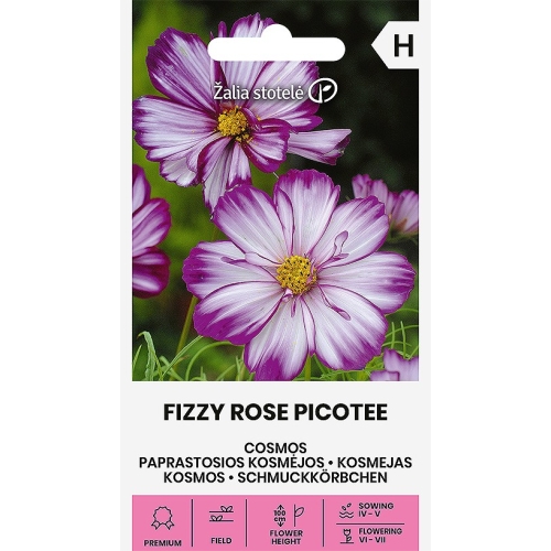 Pyntekorg FIZZY ROSE PICOTEE