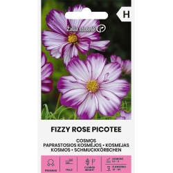 Pyntekorg FIZZY ROSE PICOTEE