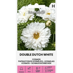 Pyntekorg DOUBLE DUTCH WHITE