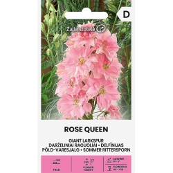 Hageridderspore ROSE QUEEN