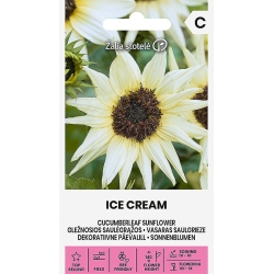 Solsikke CUCUMBERLEAF ICE CREAM