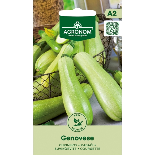 Squash GENOVESE