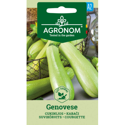 Squash GENOVESE