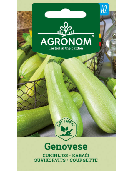 Squash GENOVESE
