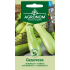 Squash GENOVESE