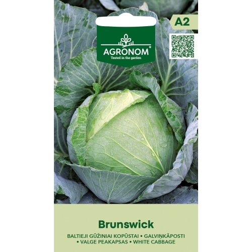 Kålfrø HVIT BRUNSWICK