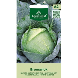 Kålfrø HVIT BRUNSWICK