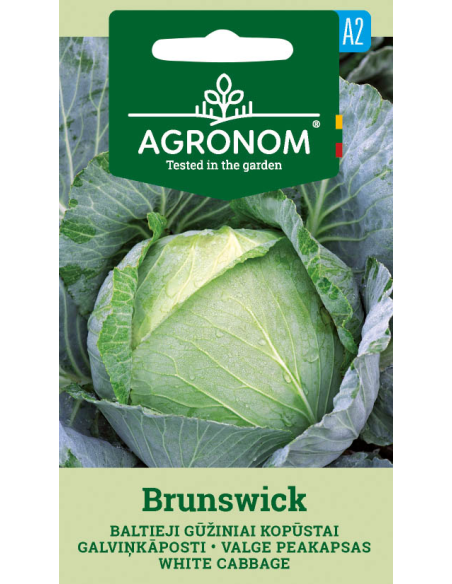 Kålfrø HVIT BRUNSWICK